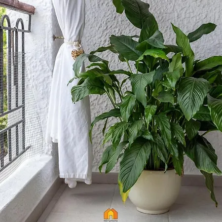House La Terrazza קוסטה ריי